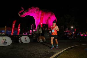 BIB: 
                            <button type="button" onclick="openModal(26534112)" class="btn btn-primary btn-sm float-right btn-popup" data-toggle="modal" data-target=".modal-high-quality">
                        <i class="fas fa-shopping-cart"></i> Add to Cart
                    </button>
                                            <button type="button" onclick="isThisMe(26534112, true)" class="btn btn-success btn-sm float-right btn-popup btn-isme hidden" data-toggle="tooltip" data-placement="bottom" title="นี่คือรูปของคุณใช่ไหม คลิกที่นี่เพื่อเอาเข้าอัลบั้ม">
                        <i class="fas fa-plus"></i> Add to album
                    </button>
                    <button type="button" onclick="isThisMe(26534112, false)" class="btn btn-warning btn-sm float-right btn-popup btn-isnotme hidden">
                        <i class="fas fa-ban"></i> Remove from album
                    </button>